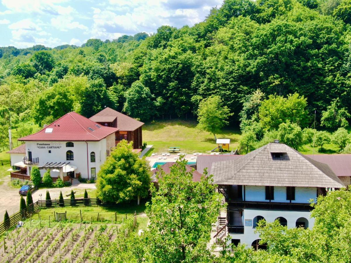 Casa Cartianu Hotel Targu Jiu Luaran gambar